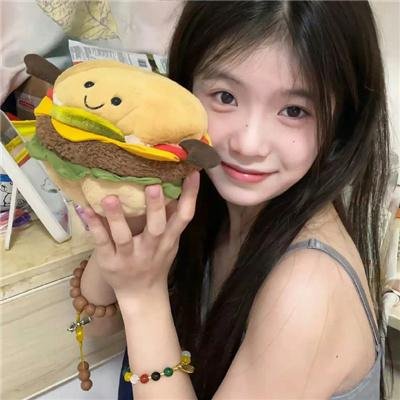 四光猪现蠢记