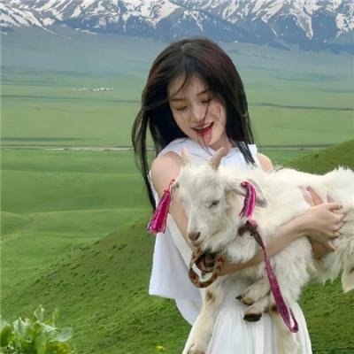 派特森与芬达猫:生日奇闻